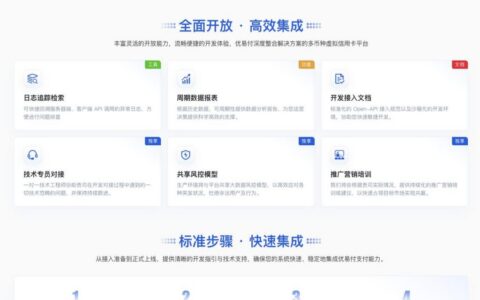 合作模式：API集成